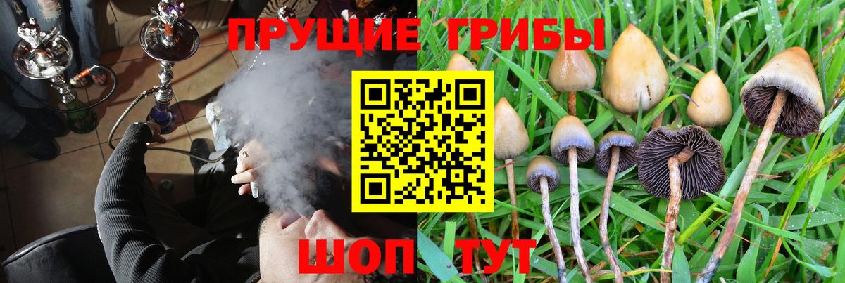 Галлюциногенные грибы MAGIC MUSHROOMS Нижний Тагил